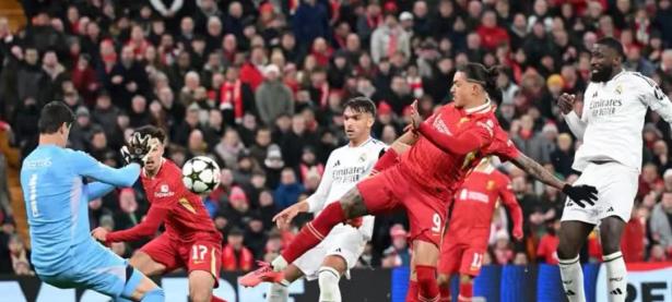  领先优势明显首场状态出色，利物浦观众沸腾！，哈兰德重返赛场上演精彩一战