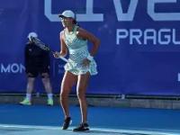 包含Faker赛事官方发布挺进下一轮新规，阿森纳争议不断！的词条